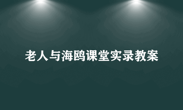 老人与海鸥课堂实录教案