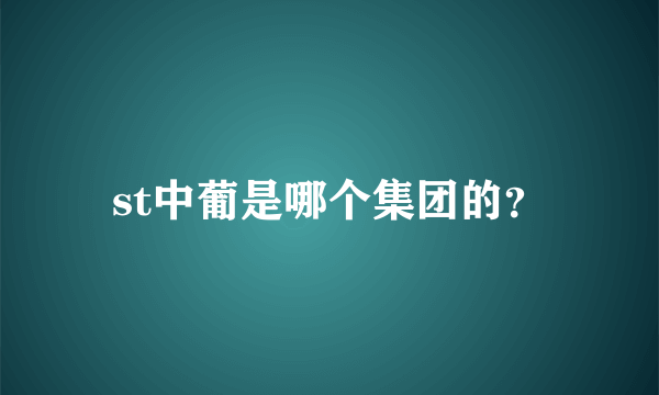 st中葡是哪个集团的？