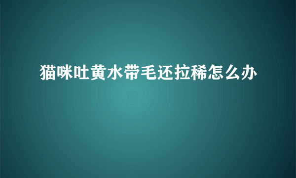 猫咪吐黄水带毛还拉稀怎么办