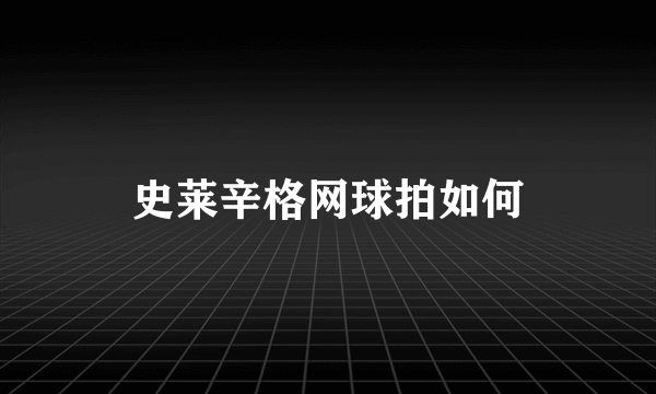 史莱辛格网球拍如何