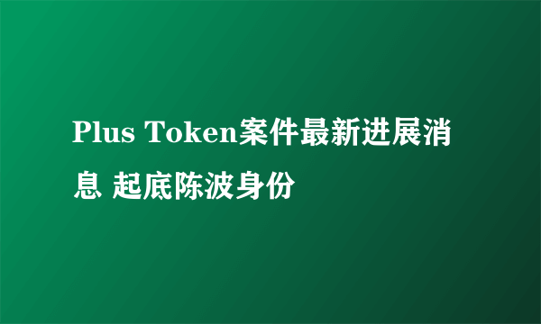 Plus Token案件最新进展消息 起底陈波身份