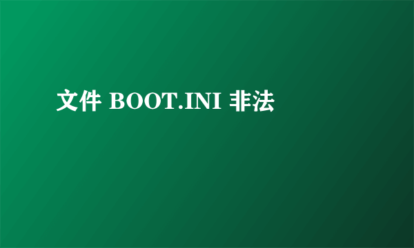 文件 BOOT.INI 非法