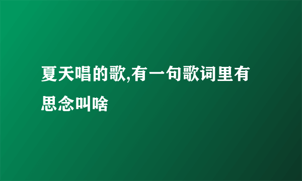 夏天唱的歌,有一句歌词里有思念叫啥