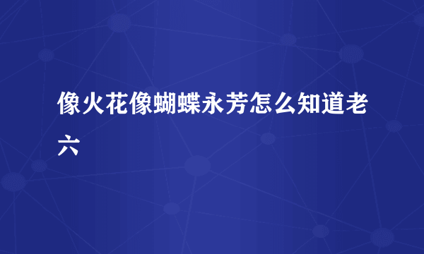 像火花像蝴蝶永芳怎么知道老六