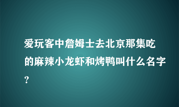 爱玩客中詹姆士去北京那集吃的麻辣小龙虾和烤鸭叫什么名字？