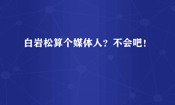 白岩松算个媒体人？不会吧！