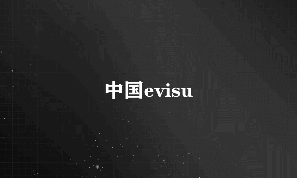 中国evisu