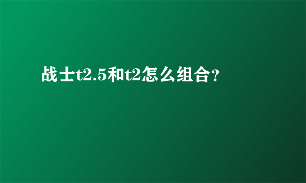 战士t2.5和t2怎么组合？