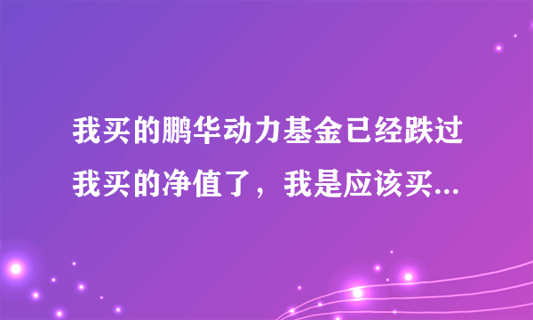 我买的鹏华动力基金已经跌过我买的净值了，我是应该买还是停止啊