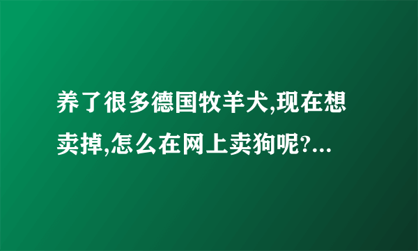 养了很多德国牧羊犬,现在想卖掉,怎么在网上卖狗呢?推荐下比较好的宠物交易网站给我呗，多谢多谢