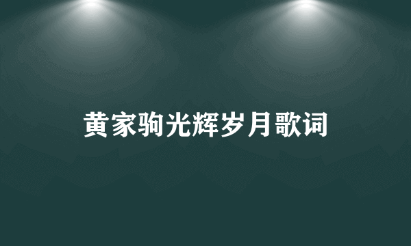 黄家驹光辉岁月歌词