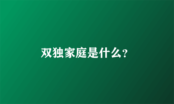 双独家庭是什么？