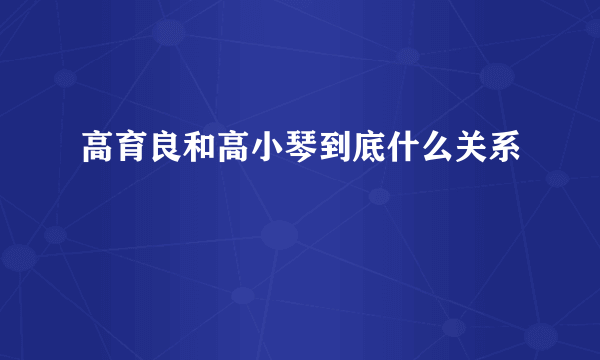 高育良和高小琴到底什么关系