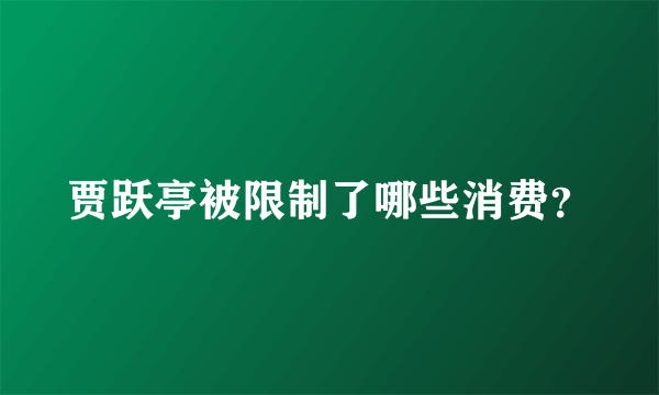 贾跃亭被限制了哪些消费？