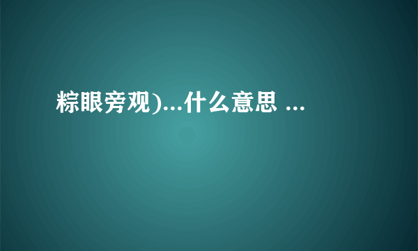 粽眼旁观)...什么意思 ...