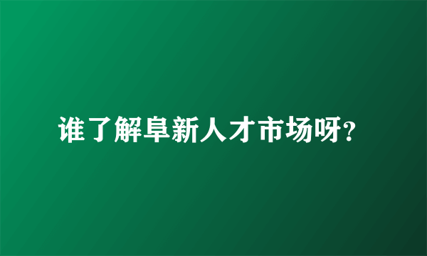 谁了解阜新人才市场呀？