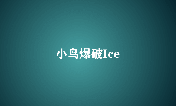 小鸟爆破Ice