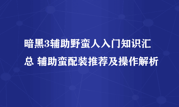 暗黑3辅助野蛮人入门知识汇总 辅助蛮配装推荐及操作解析