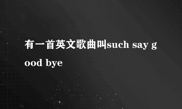 有一首英文歌曲叫such say good bye