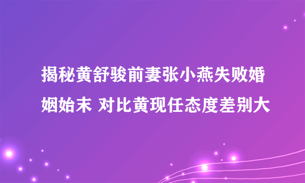 揭秘黄舒骏前妻张小燕失败婚姻始末 对比黄现任态度差别大