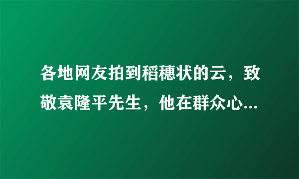 各地网友拍到稻穗状的云，致敬袁隆平先生，他在群众心目中有多伟大？