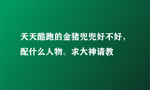 天天酷跑的金猪兜兜好不好，配什么人物。求大神请教