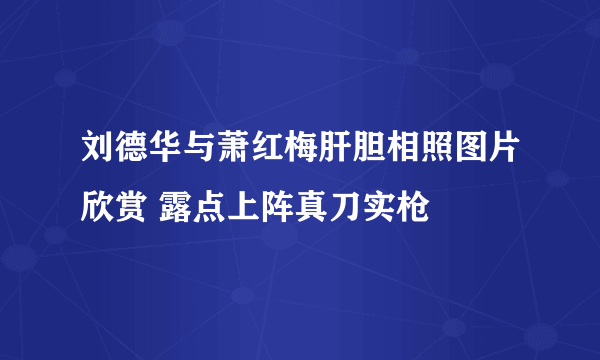 刘德华与萧红梅肝胆相照图片欣赏 露点上阵真刀实枪