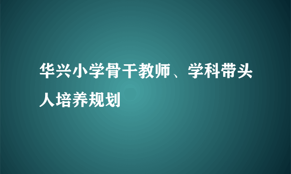 华兴小学骨干教师、学科带头人培养规划