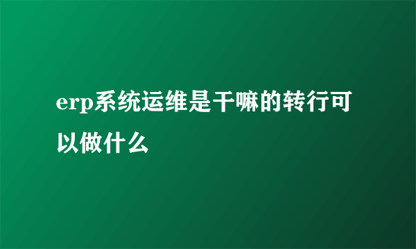 erp系统运维是干嘛的转行可以做什么