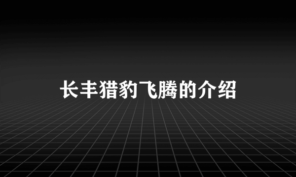 长丰猎豹飞腾的介绍