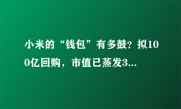 小米的“钱包”有多鼓？拟100亿回购，市值已蒸发3000亿