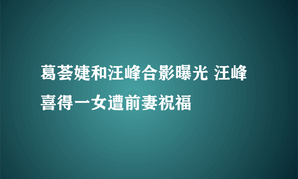 葛荟婕和汪峰合影曝光 汪峰喜得一女遭前妻祝福