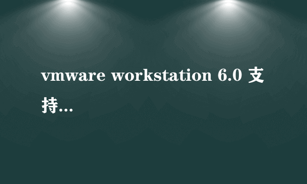 vmware workstation 6.0 支持linux的哪个版本的系统