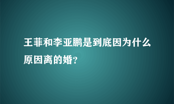 王菲和李亚鹏是到底因为什么原因离的婚？