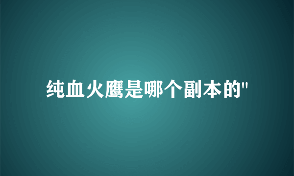 纯血火鹰是哪个副本的