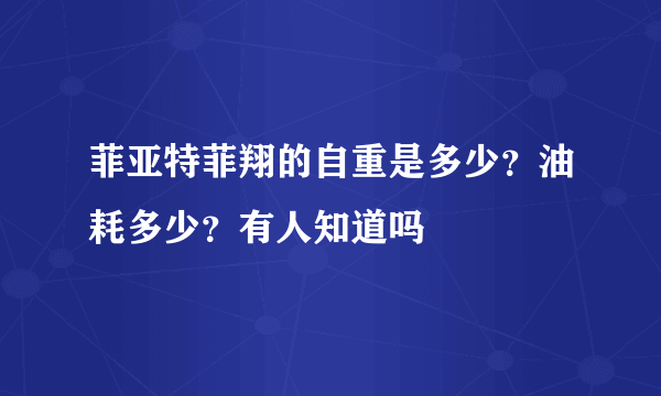 菲亚特菲翔的自重是多少？油耗多少？有人知道吗