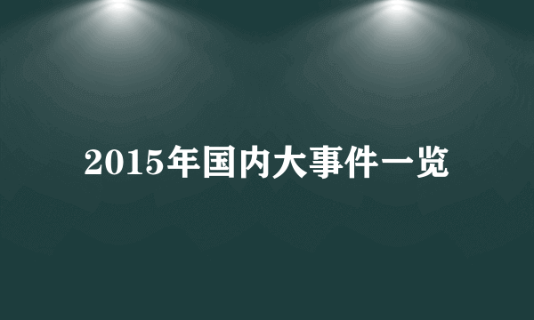 2015年国内大事件一览