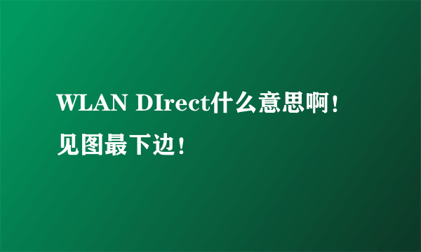 WLAN DIrect什么意思啊！见图最下边！