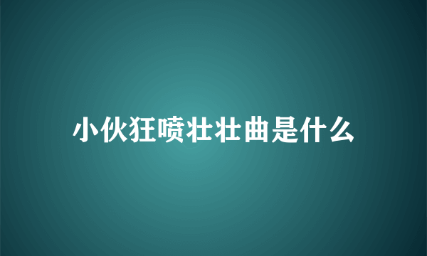 小伙狂喷壮壮曲是什么