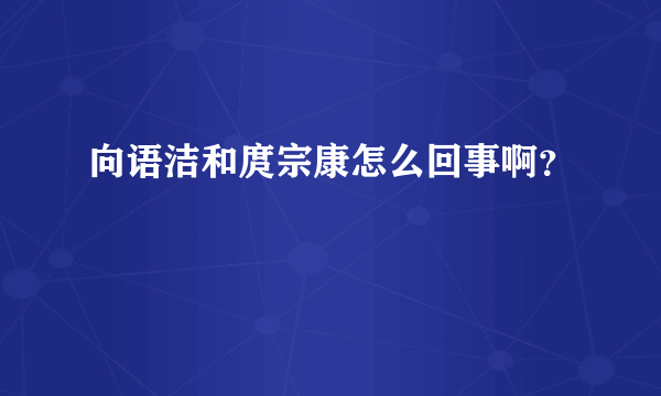 向语洁和庹宗康怎么回事啊？