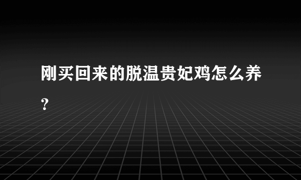 刚买回来的脱温贵妃鸡怎么养？