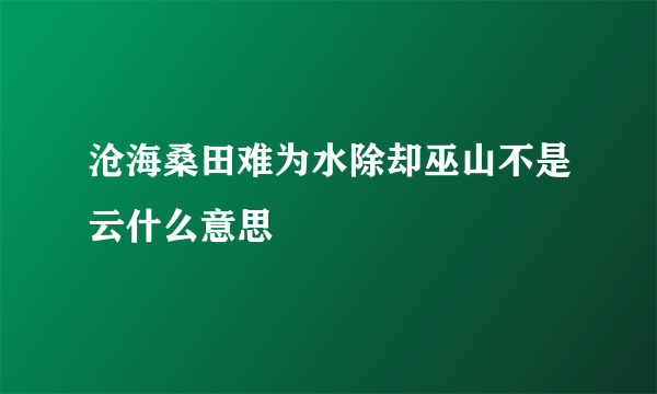 沧海桑田难为水除却巫山不是云什么意思