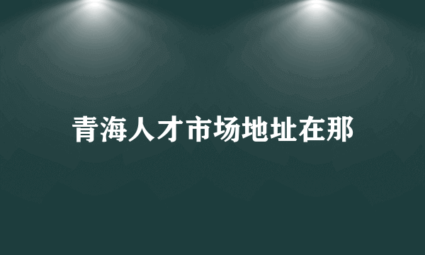 青海人才市场地址在那