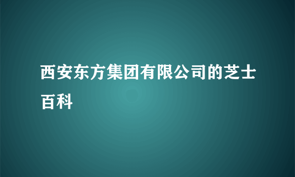 西安东方集团有限公司的芝士百科