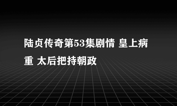 陆贞传奇第53集剧情 皇上病重 太后把持朝政