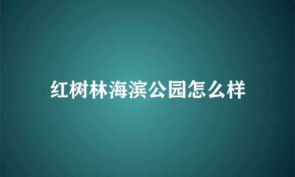 红树林海滨公园怎么样