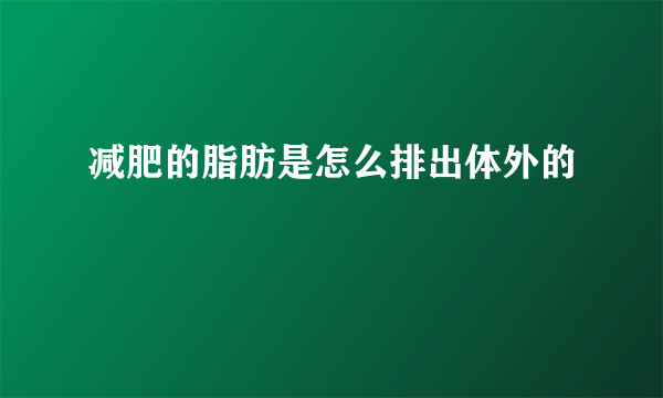 减肥的脂肪是怎么排出体外的