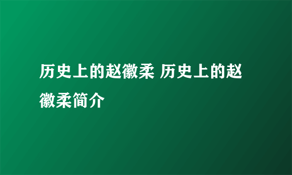 历史上的赵徽柔 历史上的赵徽柔简介