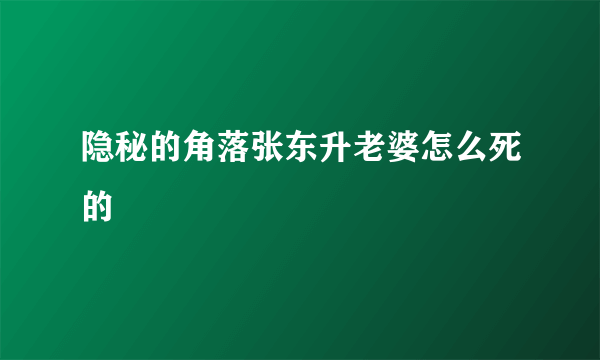 隐秘的角落张东升老婆怎么死的