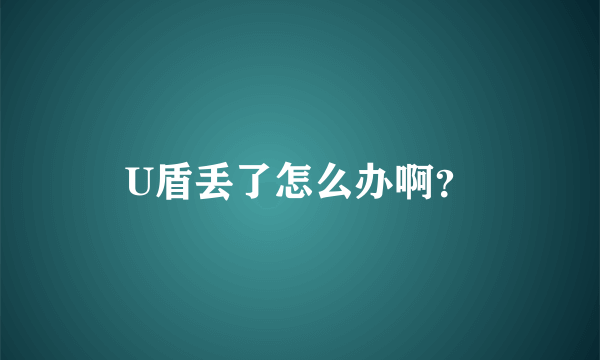 U盾丢了怎么办啊？